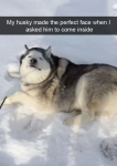1668409357356.png