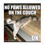 FB_IMG_1668830901257.jpg