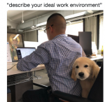 1670180765700.png