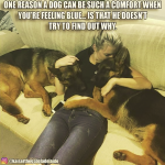 1670567764185.png