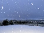D503EA41-A510-40F2-9638-107436DDD8BE.jpeg