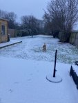 365F33ED-EB7B-4C75-BEDD-2DC033EEFC3F.jpeg