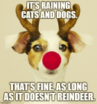 1671777001033.png
