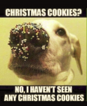 1671863006738.png