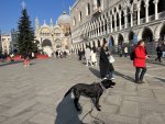 D922302B-8E34-4800-9C62-B22B2ED148C4.jpeg