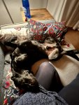 A2361017-97C5-4163-BA76-43AA11622E7F.jpeg