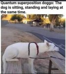 FB_IMG_1672935919274.jpg