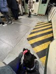 3D9733C7-6F2E-4098-A4A2-C84D4FAD54DD.jpeg