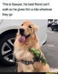 1673505905604.png
