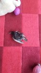 20170905_095637.jpg