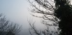 20230121_164445.jpg