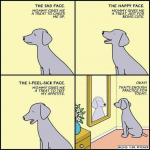 1674628513024.png