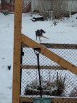 20230125_110438.jpg