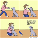 1675492267005.png