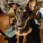 IMG_20230124_185220_917.jpg IMG_20230124_185220_917.jpg