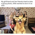 1675923120578.png