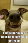 1676356073315.png