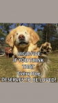 1676960667559.png