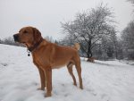 Snow 2 March 2023.JPG