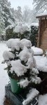 20230309_083200.jpg