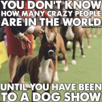 1678602590819.png