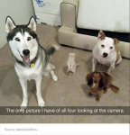 1679292885798.png
