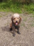 IMG_6812.jpeg