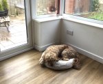 IMG_6820.jpeg
