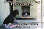 1683609272446.png