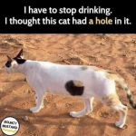 1683872694274.png