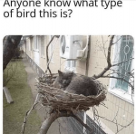 1683872756401.png