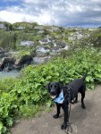 IMG_0423.jpeg