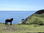 IMG_0393.jpeg