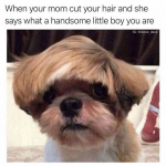 1684564477057.png