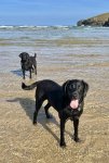 IMG_0842.jpeg