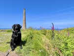 IMG_0989.jpeg