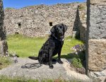 IMG_0976.jpeg