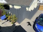 IMG_1073.jpeg