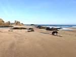 IMG_1112.jpeg