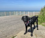 IMG_1432.jpeg