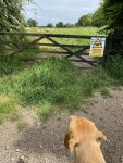 IMG_7895.jpeg