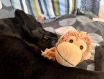 IMG_1471.jpeg