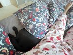 IMG_1473.jpeg