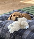 IMG_6904.jpeg IMG_6904.jpeg