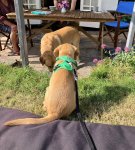 IMG_4956.jpeg IMG_4956.jpeg