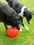 IMG_20230806_144157130_MP_exported_932.jpg