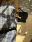IMG_5702.jpeg