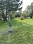 IMG_9644.jpeg