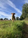 IMG_6692.jpeg