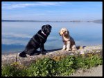IMG_20230404_102935_Original.jpeg
